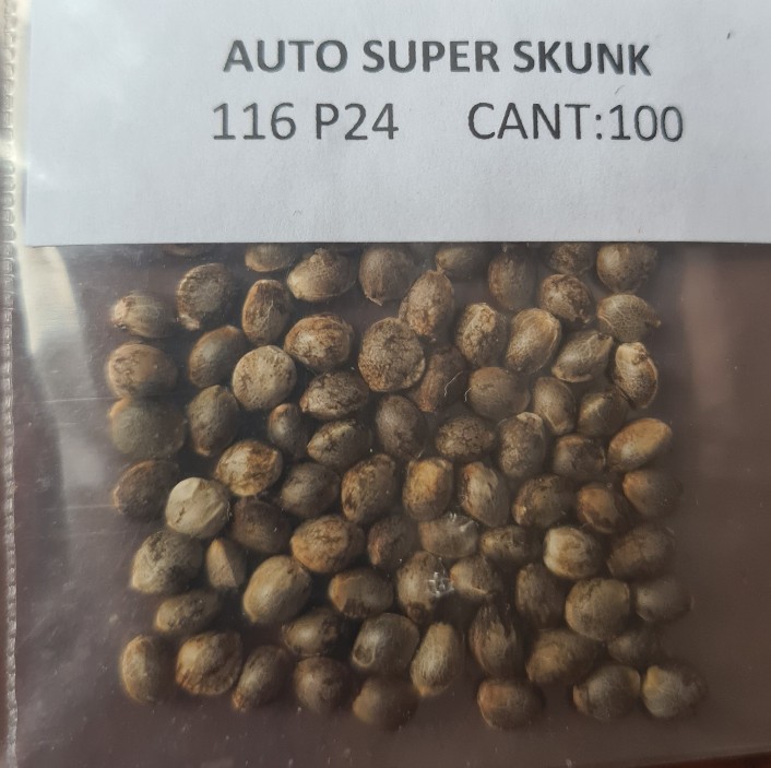 Automatic SUPER SKUNK